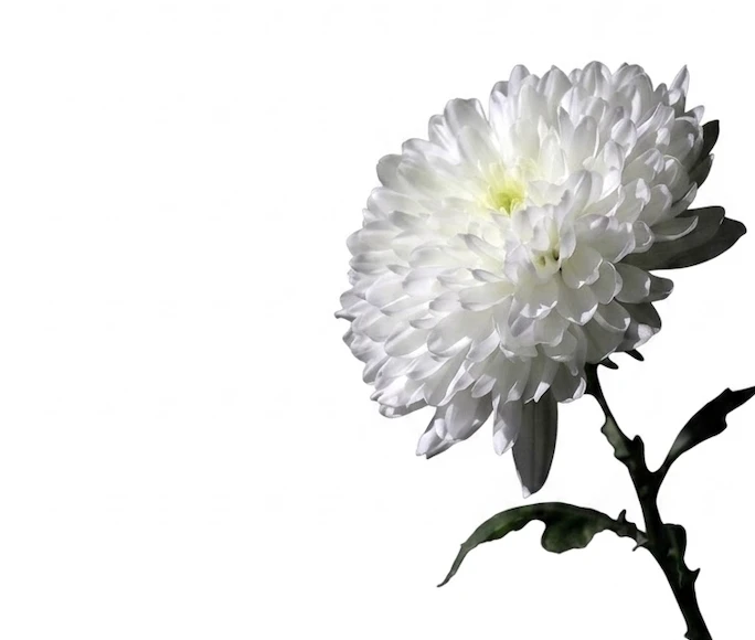 데이브 민 CA주 47지구 연방 하원의원 모친 전혜경 여사 별세