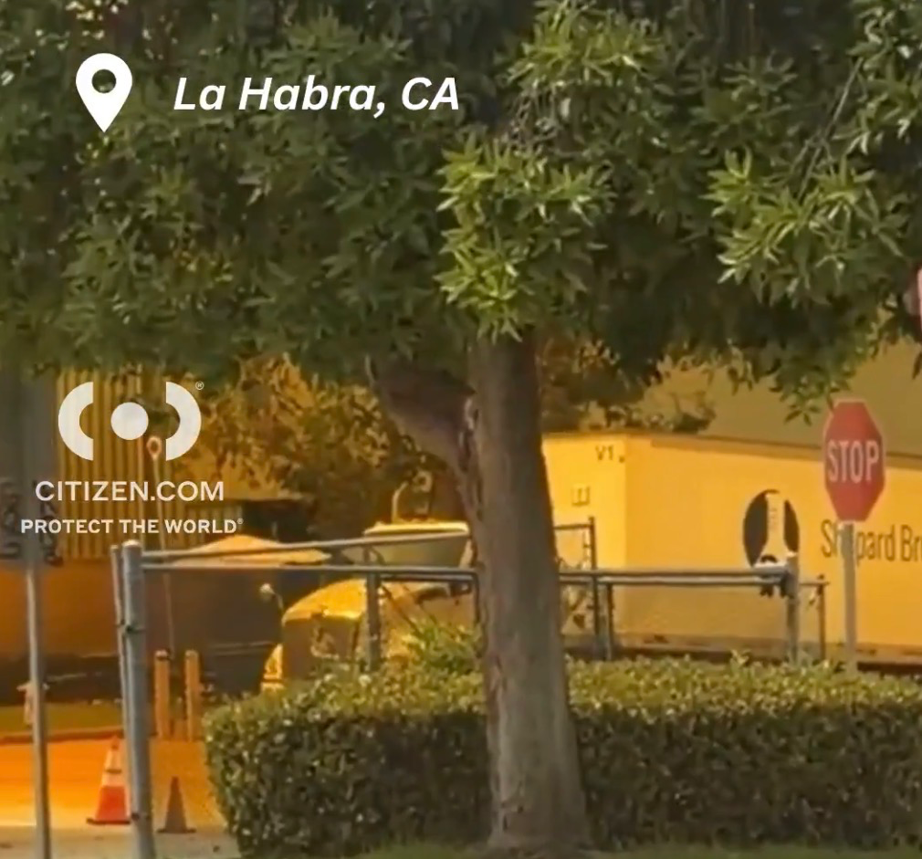 IMG_0495.jpeg