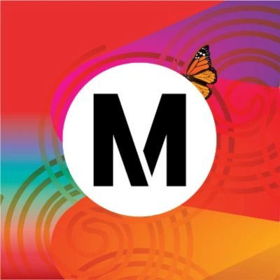 채스워스 메트로 버스 참사 가해 운전자, 살인 혐의 체포