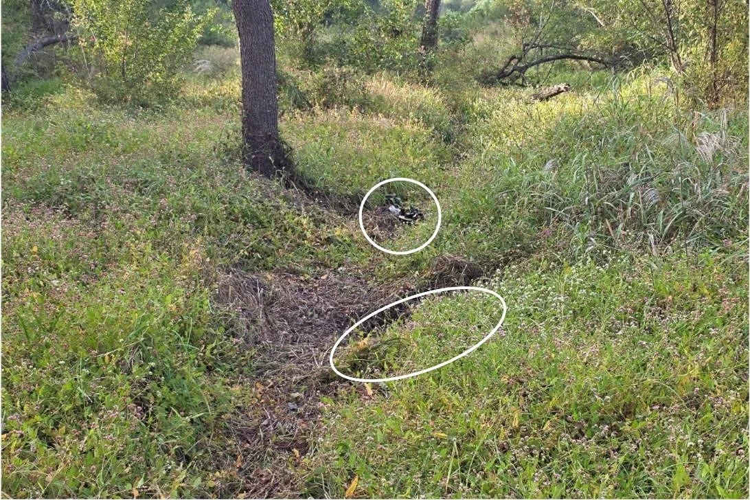 군, DMZ 폭발 지점 ‘북한 지뢰 매설 의심지에서 10여m 떨어져’